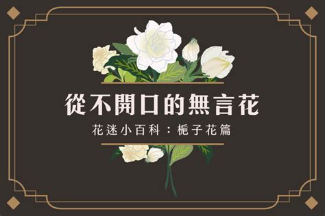 梔子花 室內|【花迷小百科】從不開口的無言花—梔子花 – 伊日誌